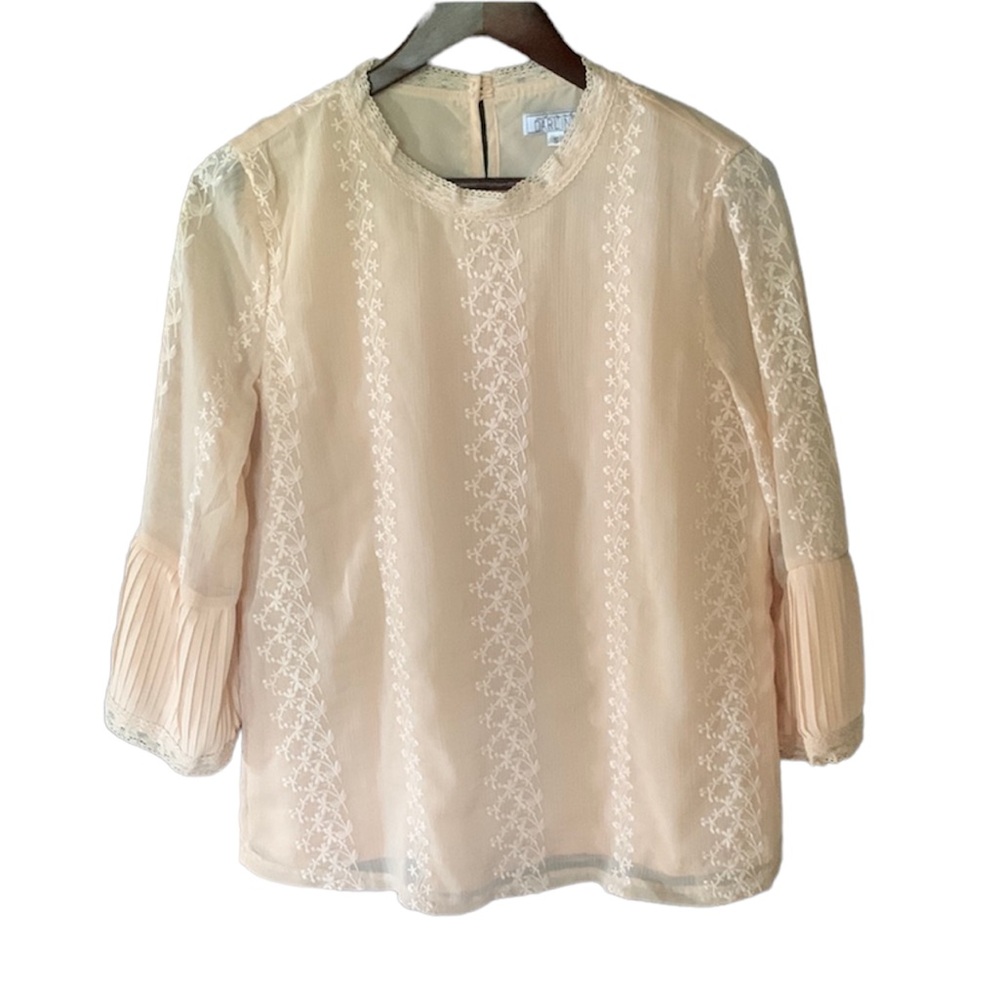 A dip of Darling lace embroidered top neutral feminine career collegiate date